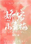 娇宠小青梅畅读