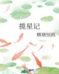 揽星记gl