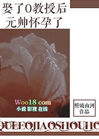 娶了o教授后元帅怀孕了番外