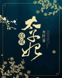 窈窕太子妃刘敏月侍寝