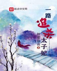 一路追杀太子妃的电视剧