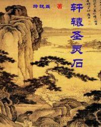 轩辕传奇圣渊厉害吗