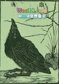 三十天空壳菠萝熊