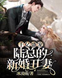 陆总的新婚丑妻