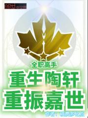 全职高手陶轩百度百科