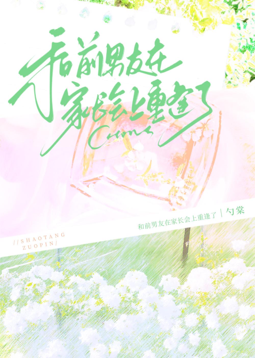 在家长会上遇前任剧透