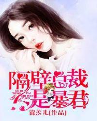 隔壁总裁是暴君 锦羡儿
