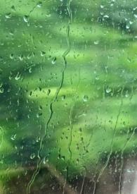 雨季三防工作内容是什么