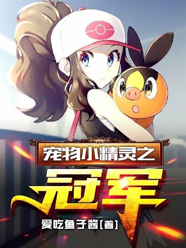 宠物小精灵之冠军全文免费阅读