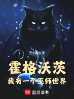 有霍格沃茨这个学校吗
