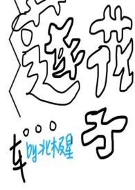 莲子心
