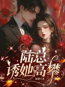 陆总宠妻属第一