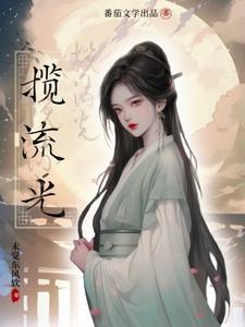 揽流光鹊上枝头免费阅读