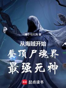 从海贼开始的不死者之王免费