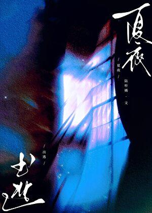 韩剧 夏夜