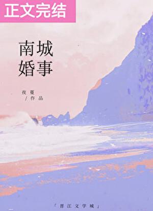 南城婚事讲了什么