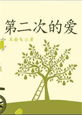 第二次的喜欢