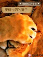 崛起巫师世界