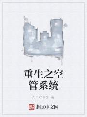 空管系统有哪些