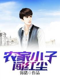 农家小子闯官场