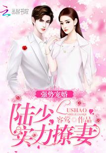强势锁婚陆少请走开