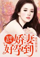 宠婚似火娇妻好孕到