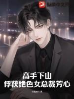 高手是女人免费阅读全文