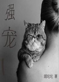 强宠娇妻