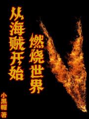 从海贼世界开始打卡
