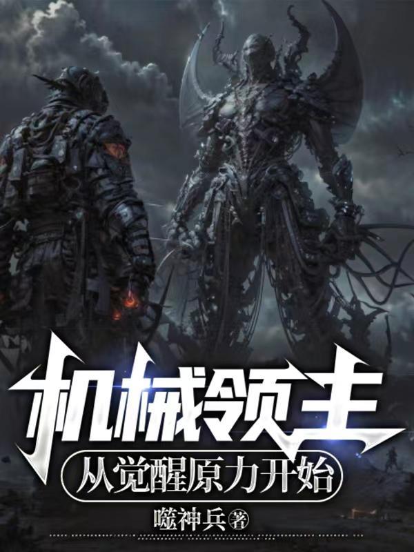 领域机械