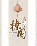 撩国是那个国家
