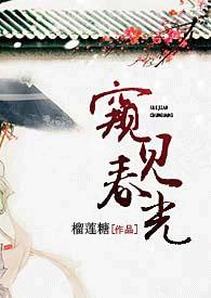 窥光 在线阅读