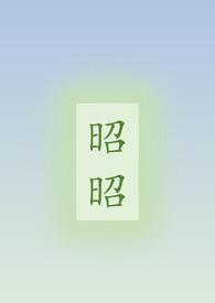 昭昭韶华电视剧