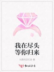 我在尽头等你归来