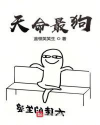 天命最高什么电视剧