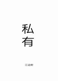 私有的意思