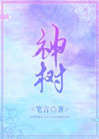 神树畔煤矿简介概况
