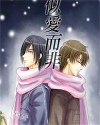 似爱而非完整版