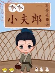 乖乖小夫郎百度txt全文