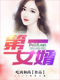 第一女婿刘