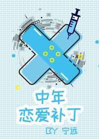 中年恋爱补丁全集txt