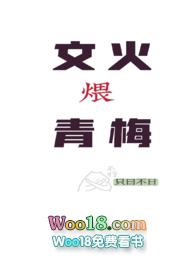 文火煨青梅(甜宠h)-第六五章夹层里的