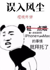 误入风尘的爱情全文免费阅读崔喜