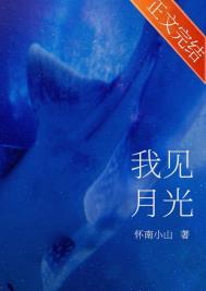 我见月光完整版