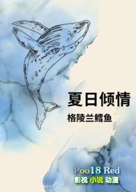 夏日倾情的意思