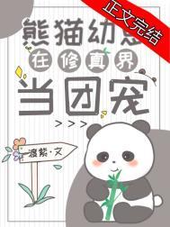 熊猫幼崽在修真界当团宠晋江