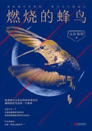 歌里面歌词燃烧吧火鸟