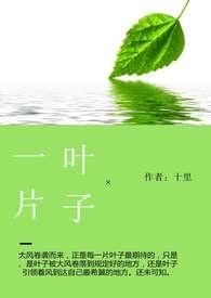 一片叶子的周长手抄报
