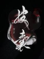 皮囊英剧