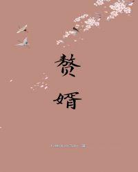 赘婿导演